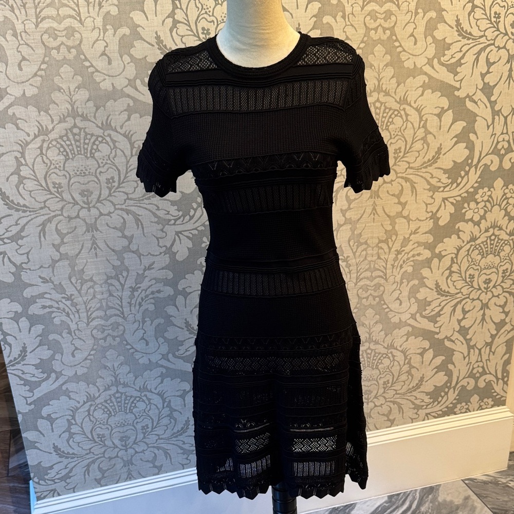 Alexis Black Lace Mini Dress